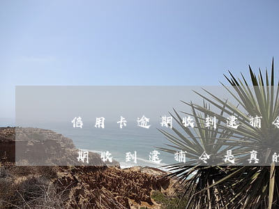 信用卡逾期收到逮捕令是真的嗎-信用卡逾期收到逮捕令是真的嗎嗎