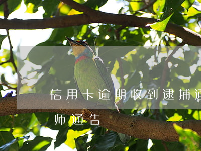 信用卡逾期收到逮捕通知(信用卡 逾期 收到 律师 通告)
