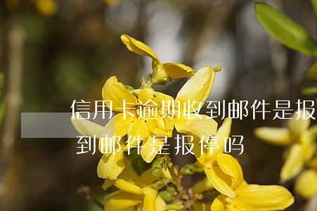 信用卡逾期收到邮件是报停吗(信用卡逾期收到邮件是报停吗)