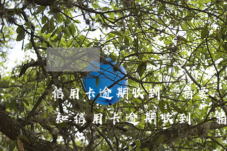 信用卡逾期收到郵箱要結(jié)案的通知(信用卡逾期收到郵箱要結(jié)案的通知)