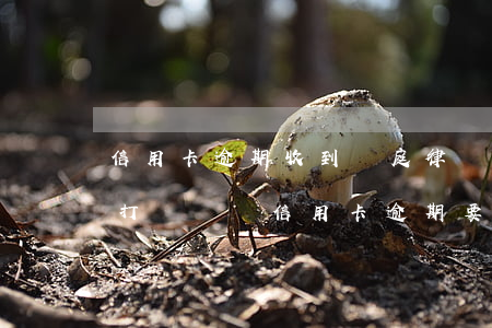 信用卡逾期收到開庭律師信(律師事務所的人打電話說信用卡逾期要起訴)