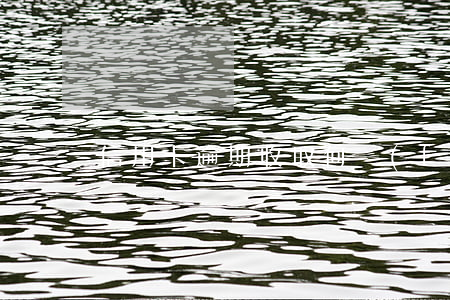 信用卡逾期收取何費(fèi)用