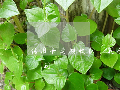 信用卡逾期收取復利合法嗎（信用卡逾期收取復利）