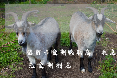 信用卡逾期收取高額利息(信用卡10000元逾期利息)