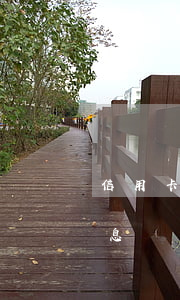 信用卡逾期收多錢利息(各銀行信用卡逾期利息)