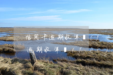 信用卡逾期收年費(fèi)怎么辦（信用卡逾期收年費(fèi)怎么辦）