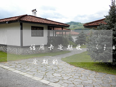 信用卡逾期收費(fèi)么(有處理信用卡逾期的嗎)
