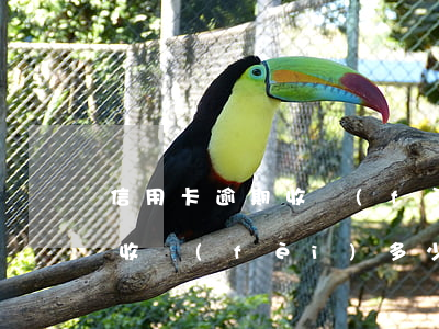 信用卡逾期收費(fèi)多少(信用卡逾期收費(fèi)多少合適)