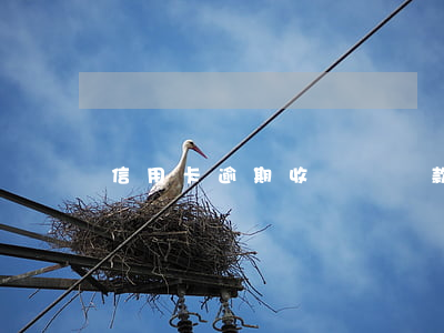 信用卡逾期收車嗎(車款逾期收車怎么辦)
