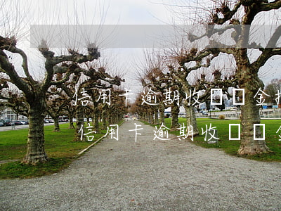 信用卡逾期收違約金按月計(jì)算嗎-信用卡逾期收違約金按月計(jì)算嗎合法嗎