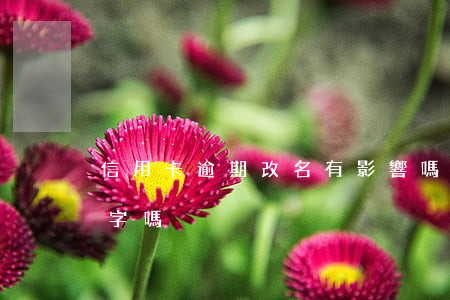 信用卡逾期改名有影響嗎(欠信用卡可以改名字嗎)