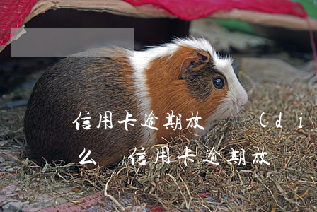 信用卡逾期放棄調(diào)解后果會怎么樣(信用卡逾期放棄調(diào)解后果會怎么樣嗎)