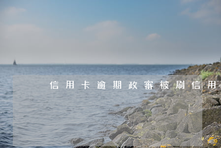 信用卡逾期政審被刷（信用卡逾期政審被刷）