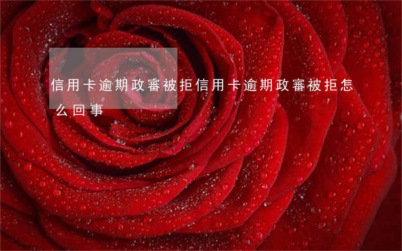 信用卡逾期政審被拒(信用卡逾期政審被拒怎么回事)