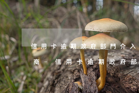 信用卡逾期政府部門介入怎么協(xié)商-信用卡逾期政府部門介入怎么協(xié)商還款