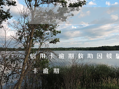 信用卡逾期救助(因被騙導(dǎo)致信用卡逾期)