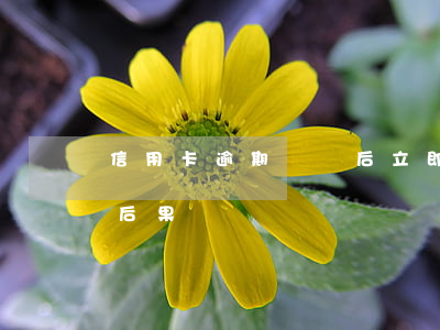 信用卡逾期敗訴后立即還款 逾期還信用卡的后果