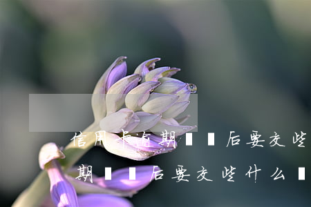 信用卡逾期敗訴后要交些什么錢?-信用卡逾期敗訴后要交些什么錢才能用