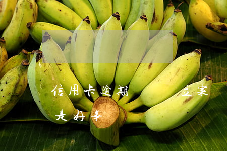 信用卡逾期敗訴會立案嗎(信用卡逾期被起訴是好事嗎)