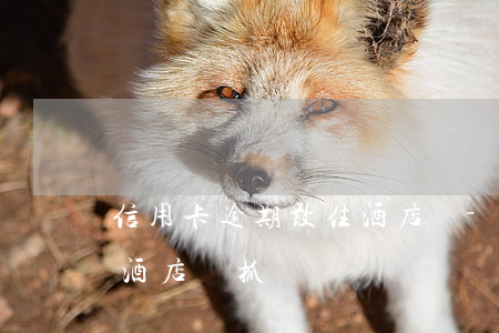 信用卡逾期敢住酒店嗎-欠信用卡三年了住酒店會抓嗎