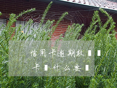 信用卡逾期敢領結(jié)婚證嗎(辦信用卡為什么要結(jié)婚證)
