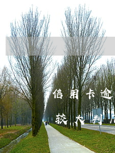 信用卡逾期数额较大判几年(信用卡逾期数额较大判几年)