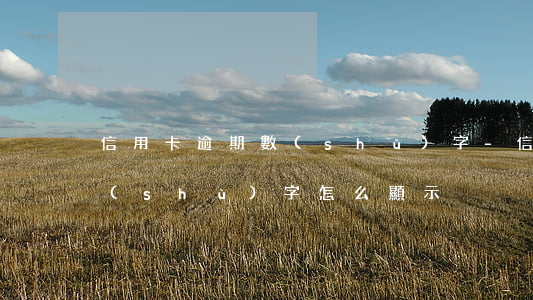 信用卡逾期數(shù)字-信用卡逾期數(shù)字怎么顯示