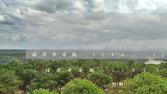 信用卡逾期數(shù)據(jù)2021 信用卡逾期數(shù)據(jù)分析報告