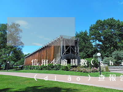 信用卡逾期數(shù)據(jù)分析調(diào)查報告(信用卡逾期數(shù)據(jù)分析調(diào)查報告結論)
