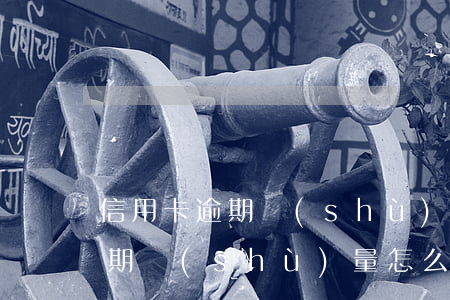 信用卡逾期數(shù)量怎么算（信用卡逾期數(shù)量怎么算）