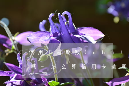 信用卡逾期數(shù)額是看一個銀行的嗎-怎么算信用卡逾期