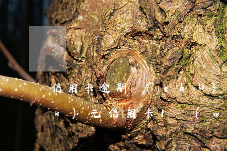 信用卡逾期數(shù)額較大1萬(wàn)元(信用卡1萬(wàn)額度逾期4個(gè)月)