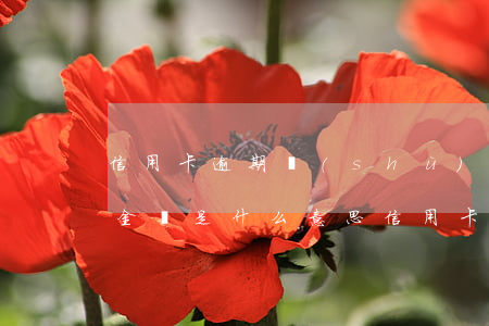 信用卡逾期數(shù)額較大是多少(逾期金額是什么意思信用卡)