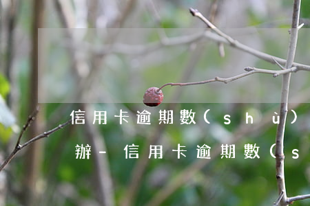 信用卡逾期數(shù)額較大被起訴怎么辦-信用卡逾期數(shù)額較大被起訴怎么辦理