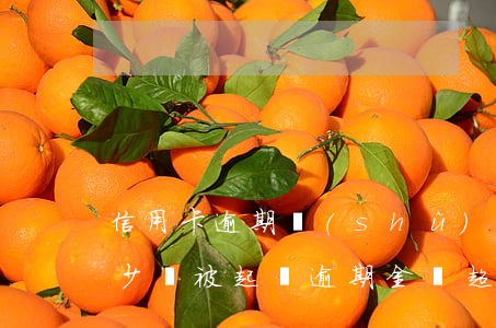 信用卡逾期數(shù)額達(dá)到多少會被起訴 逾期金額超過多少會起訴