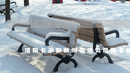 信用卡逾期断供失信(欠信用卡被列入失信)