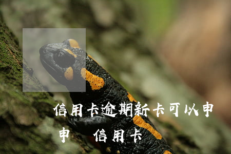 信用卡逾期新卡可以申請嗎(逾期多久后可以申請信用卡)