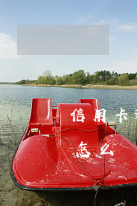 信用卡逾期新卡怎么辦(信用卡逾期了立案了怎么辦?)
