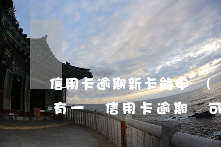 信用卡逾期新卡能申請(qǐng)嗎(如果有一張信用卡逾期,還可以辦理新卡嗎?)