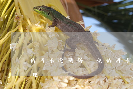 信用卡逾期新單位(信用卡逾期新單位怎么處理)