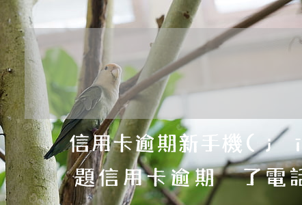 信用卡逾期新手機(jī)號(hào)問題(信用卡逾期換了電話號(hào)碼會(huì)怎樣)