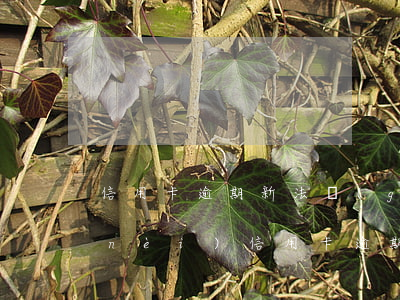 信用卡逾期新法規(guī)兩次 一年內(nèi)信用卡逾期兩次