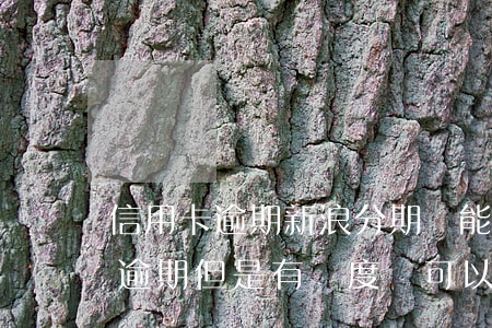 信用卡逾期新浪分期還能下款嗎 新浪分期有逾期但是有額度還可以再接嗎