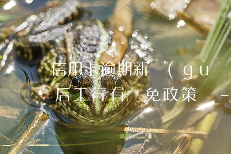信用卡逾期新規(guī)出臺(tái)后,工行有減免政策嗎-信用卡逾期新規(guī)出臺(tái)后,工行有減免政策嗎