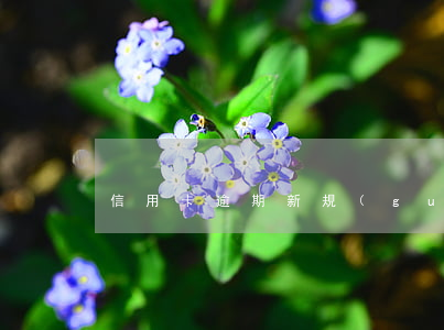 信用卡逾期新規(guī)原文