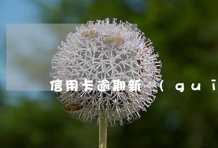 信用卡逾期新規(guī)定逾期量刑