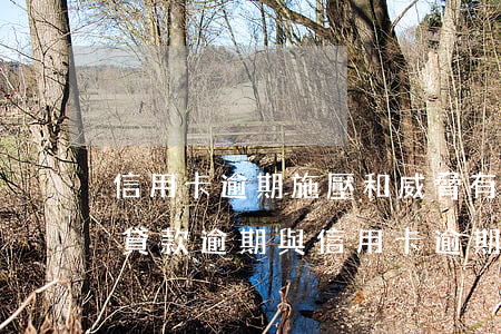 信用卡逾期施壓和威脅有什么區(qū)別(貸款逾期與信用卡逾期的后果是什么)