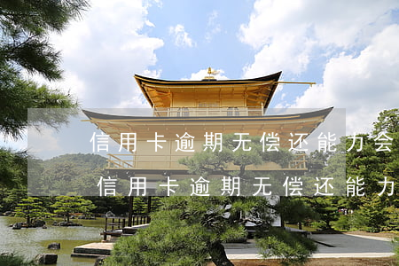 信用卡逾期无偿还能力会以什么罪名定罪-信用卡逾期无偿还能力会以什么罪名定罪量刑