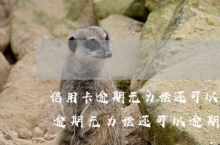 信用卡逾期无力偿还可以逾期多久-信用卡逾期无力偿还可以逾期多久呢