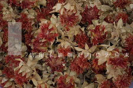 信用卡逾期无力偿还应求助哪里